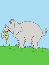 Why Anansi Has Thin, Long Kegs