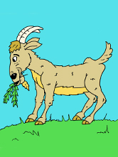 Anansi And The Witch Named 'Five'